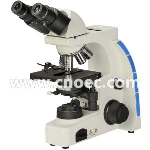 40X 100X Learning Compound Optical Microscope Halogen Illumination Microscopes
