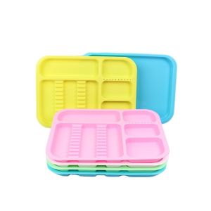 Class I Dental Sterilization Tray Manual 30cm x 15cm Holds 20 Instruments