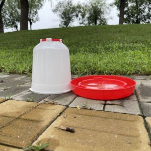Effortless Hydration Red plastic chicken drinker Convenient Watering