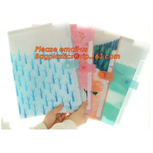 hot selling plastic pp rainbow expanding file wallet folder with elastic band