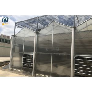 China Organic Crop Farming Polycarbonate Greenhouse Indoor Vegetable Greenhouse on sale