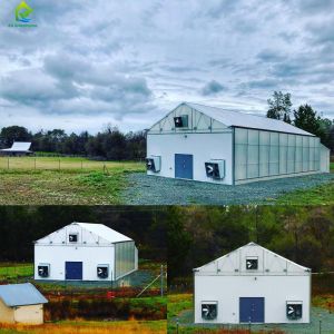 Android Photovoltaic Wireless PH Sensor Greenhouse Monitoring System