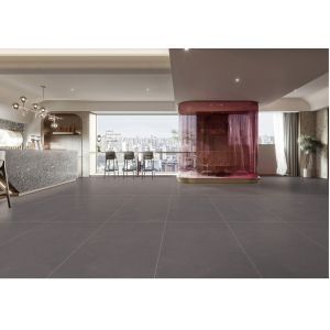 AAA Grade Indoor Porcelain Tiles 400x800mm Clay Antibacterial