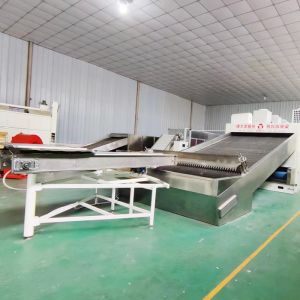 Precision Control Chili Belt Dryer Multiple Drying Zones