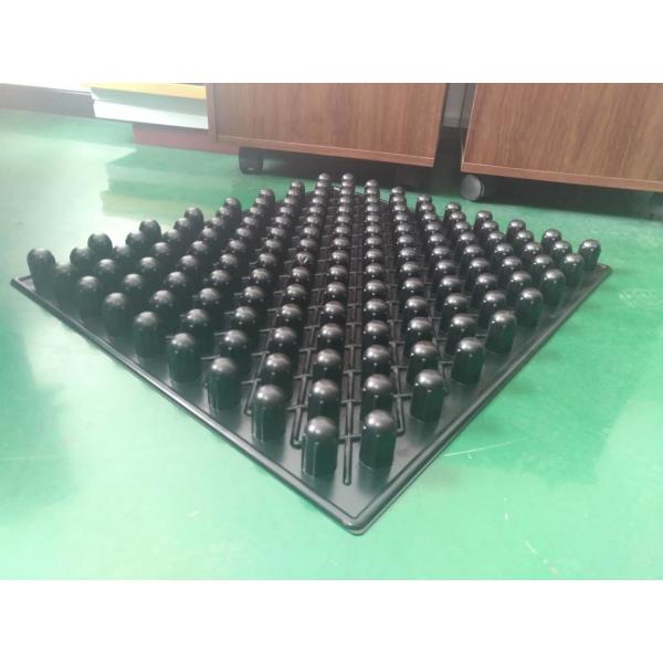 blister trays for seeding PS