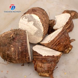 150KG 2.05KW Cut loofah pumpkin asparagus cucumber lettuce eggplant bitter melon