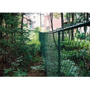 High Security PVC Coated Galvanized Chain Link Fence