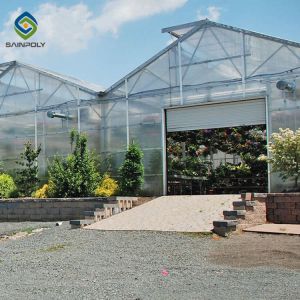 Multi Functional 4m Polycarbonate Film Greenhouse Side Ventilation