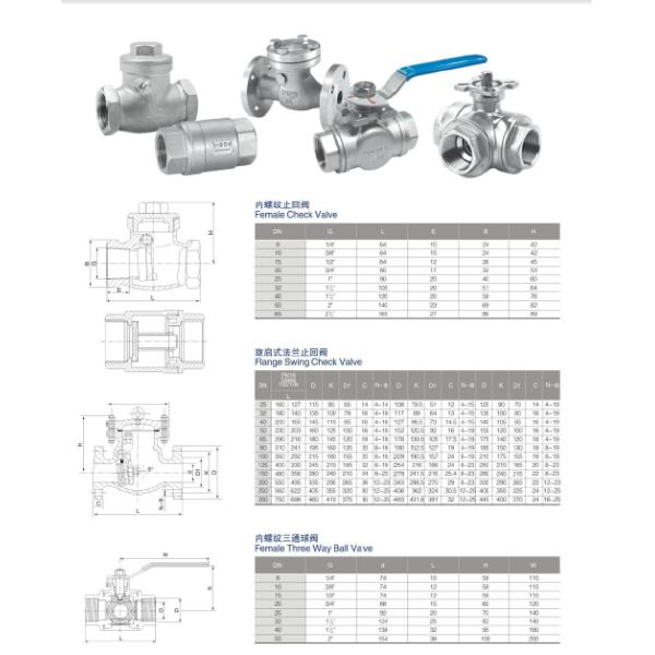 SS304 /SS316L ,Stinaless steel BSP Female thread swing Check valve,