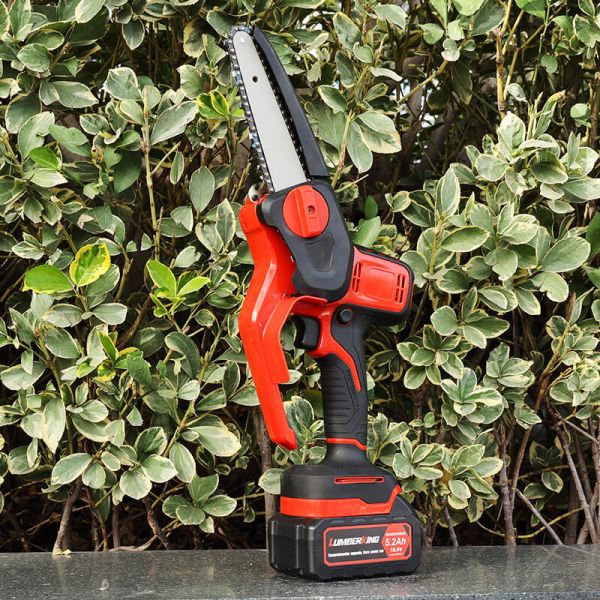 6-Inch Telescopic Handle Rechargeable Battery Operated Electric Cordless