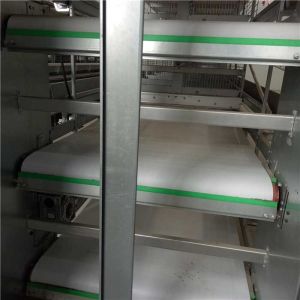 Wholesale Hot Galvanized Surface Automatic Manure Removal System IS9001 Certification from china suppliers