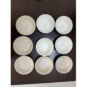 Eco-Friendly High-Speed Rotary Coating Line for Sustainable Pulp Molded