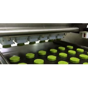 ISO9000 Reciprocating Head Depositor Cookie Manufacturing Machines