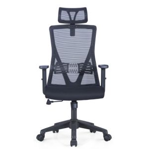 DIOUS Manager Mesh Chair