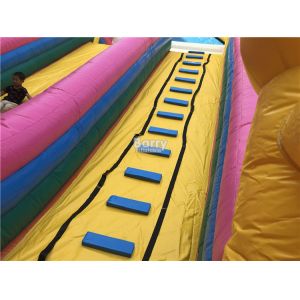PVC Commercial Inflatable Slide / Custom Design Inflatable Dry Slide Playground