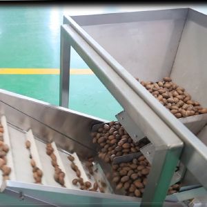 Mechanical Pecans Silver Sorting And Shelling Machine Computer Control 380V