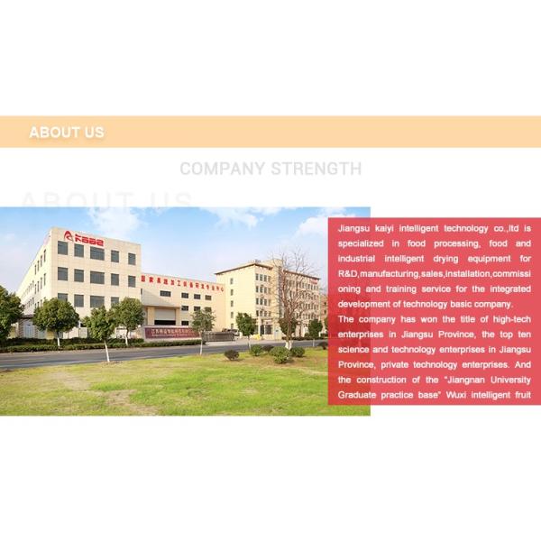 Turnkey projects conveyor drying machine for fruits and vegetables/foods/seeds