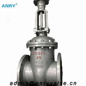 GOST Extended Stem Gate Valve Steel 20 Flanged Raised Face Gate Valve PN16 PN40