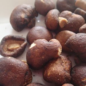 Wholesale VF Dried Fruit And Vegetables Chip Best Selling Healthy Vacuum Fried Mushrooms Snack from china suppliers