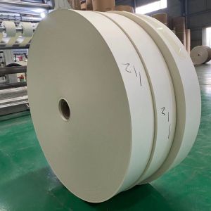 Virgin Pulp 150g+10g PE Paper Cup Making Raw Material 1550mm