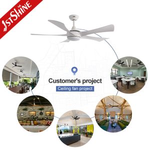 Modern 52" Ceiling Fan With Light And ABS Blade Dimmable Led Light