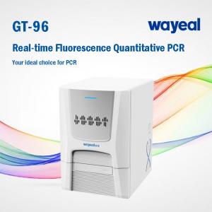 Wholesale Wayeal Clinical Medical Real Time Pcr Analyzer For Nucleic Acids Testing from china suppliers