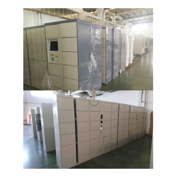 Safe Electronic Laundry Locker / Smart Software Control Rental Dry Cleaning Lockers