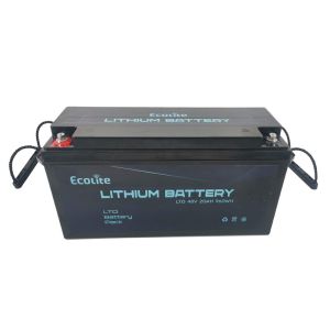 48V 20.8Ah Lithium Titanate LTO Battery High Rate Charge ECOLTO-T4820