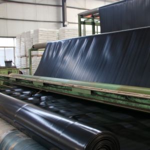 Modern Design Geomembrane Fish Pond Liner 0.3mm 0.5mm Width 1-6m Easy Installati