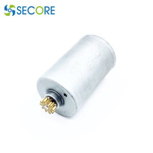 BLDC 10000 Rpm Brushless DC Motor Permanent Magnet 75W