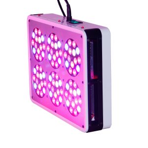 Wholesale Taiwan EPI LED indoor garden and lighting cidly led 6 270w led lights grow full spectrum from china suppliers