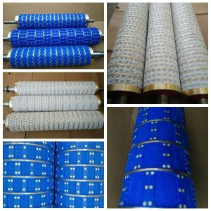 Commercial Snack Soft & Hard Biscuit Mould / Cookie Mould