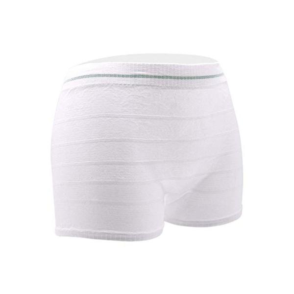 Lightweight Durable Postpartum Mesh Underwear Breathable Leak Proof Protective