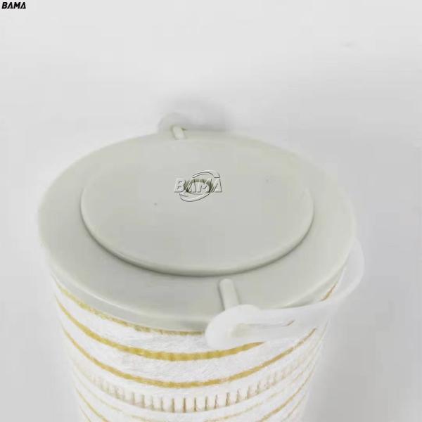 Industrial Hydraulic Oil Filter Element HC8904FRS8Z for Field of application Hydraulics