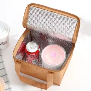 Biodegradable Sustainable Recyclable Custom Tyvek Insulation Tote Lunch Bag 15L