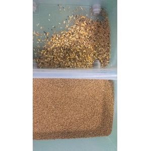 Raspberry Color Sorter Color Sorting Machine Grain Rice Wheat Coffee Bean Nuts