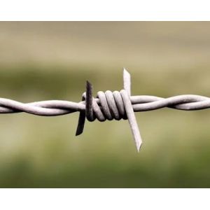 Galvanized Barbed Wire Fence Low Carbon Steel Wire 3.5mm