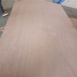 Wholesale Environmentally WBP Phenolic 12mm Sapele Faced Plywood from china suppliers