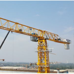 Wholesale 70m High Topless Tower Crane 6518 10 Tons Construction from china suppliers