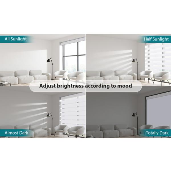 100% Polyester Day And Night Window Blinds For The Home Electric Motor Uk Options Decorative Pull Down Shades