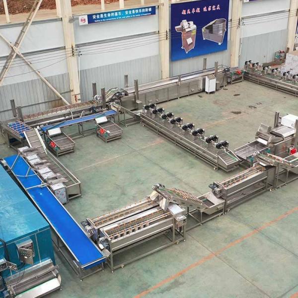 Potato Chip Fryer Processing Line Equipment Customization for Consistent Production