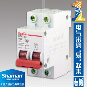 High quality good price DZ47-63D-2P-63A Mini circuit breaker,murray circuit