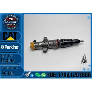 Common rail injector fuel injecto 293-4067 20R-8063 10R-7221 573-4231 293-4072