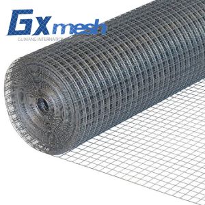 China anping wire mesh factory Hot dipped Wire Mesh Welded Wire Mesh fence