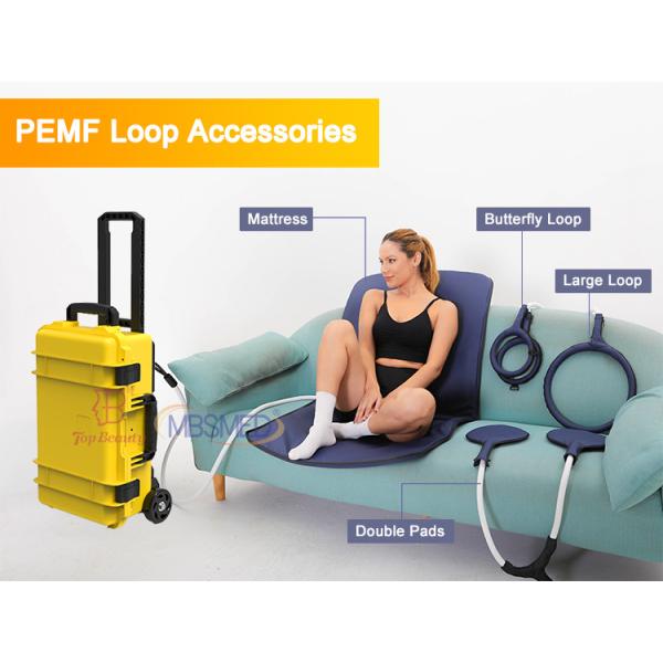 Magnetotherapy Pemf Loop Mat Terahertz Magnetic Therapy Device
