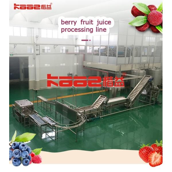 Fruit Jam Berry Juicer Machine Cherry Berry Jam Processing Line Marmalade Producing Plant Machine