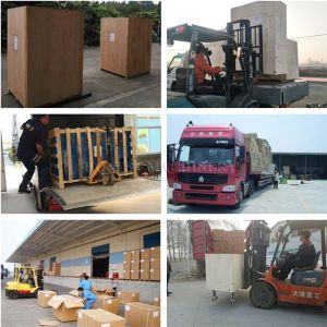 220volt Fish Processing Machine Stainless Steel Squid Shredder