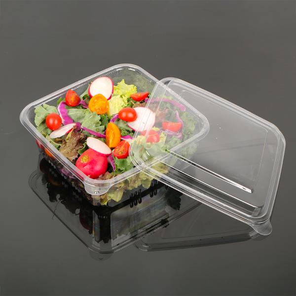 Disposable Plastic Salad Sweetmeat Preserved Fruit Packaging With Lid