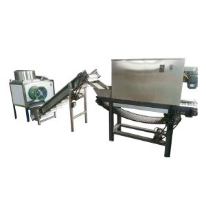 High Speed Fruit Vegetable Processing Machine Ozone Washing Cut Different Shape