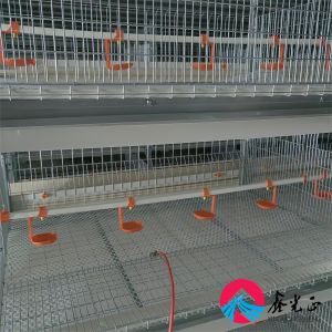EPS Insulated Chicken Farm House with Aluminum Alloy Windows